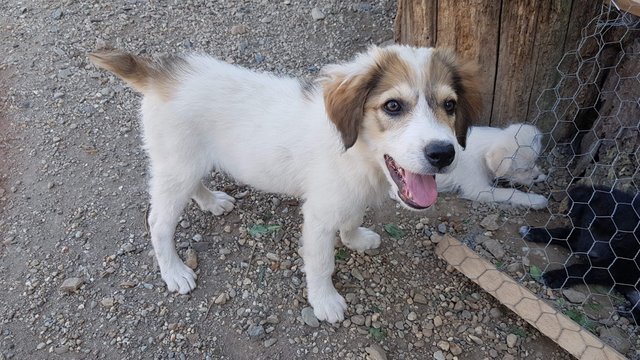 lola4.jpg