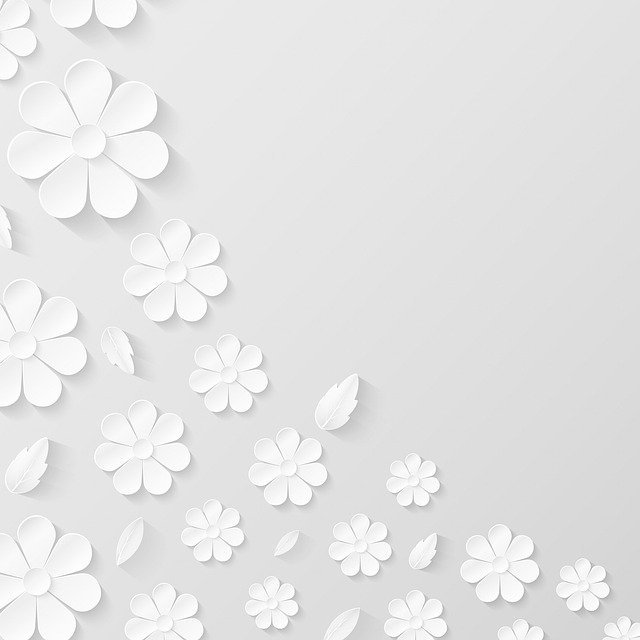 paperflowerbackground4794429_640.jpg