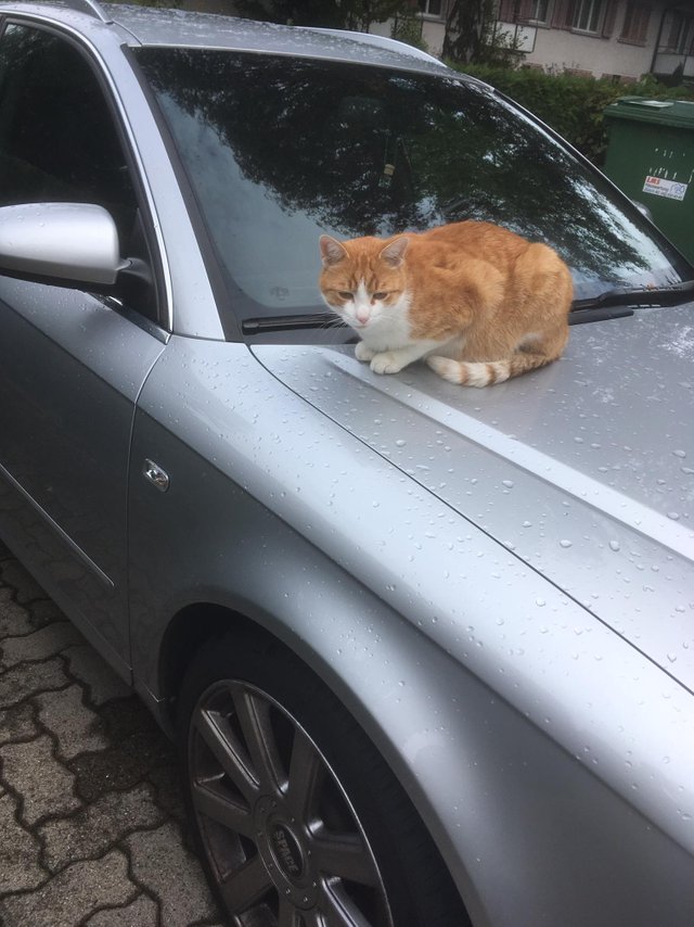 IMG20191005WA0000.jpg