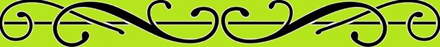 Line_Divider2_V2.jpg