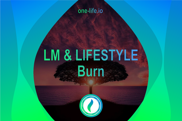 lifestyle burn.png