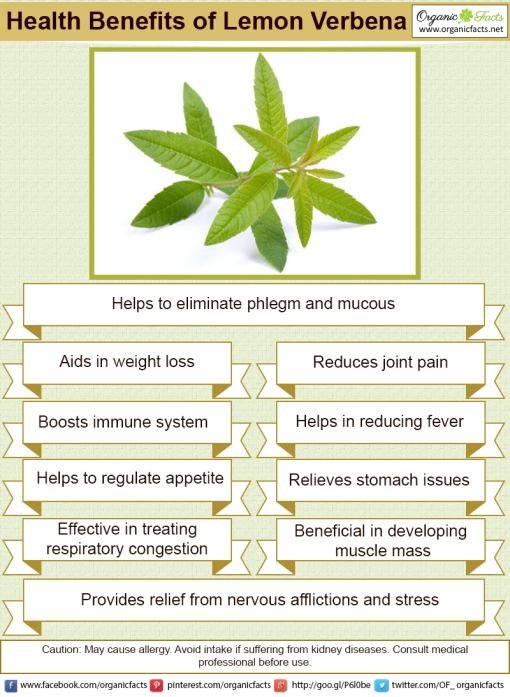 Benefits and Uses of Lemon Verbena Oil