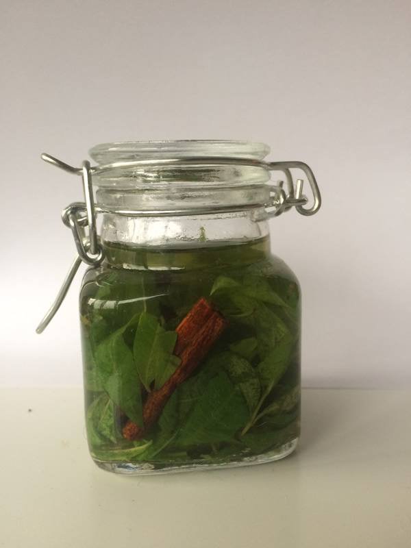 Preserving Lemon Verbena