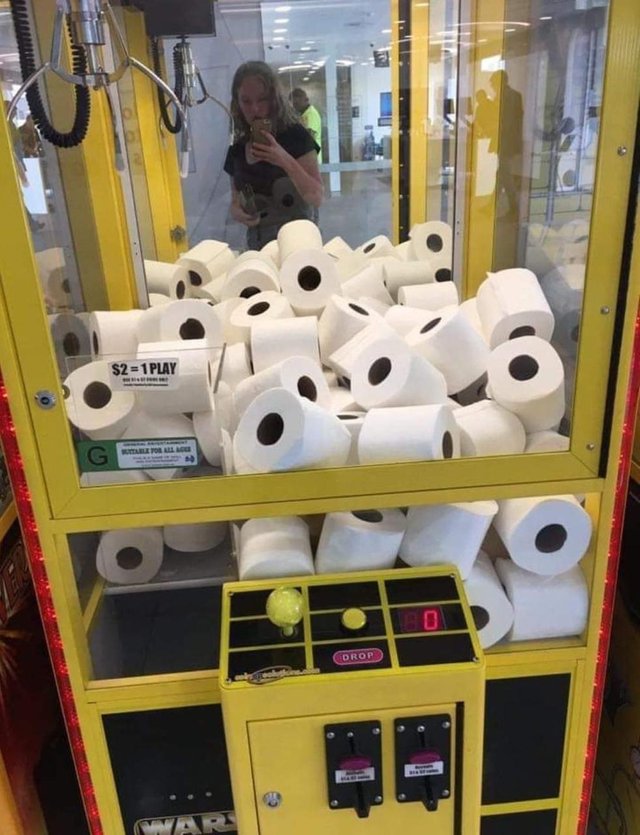 toilet roll slots.jpg