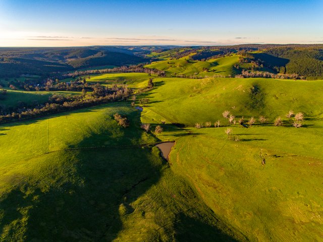 Nannup Hillside