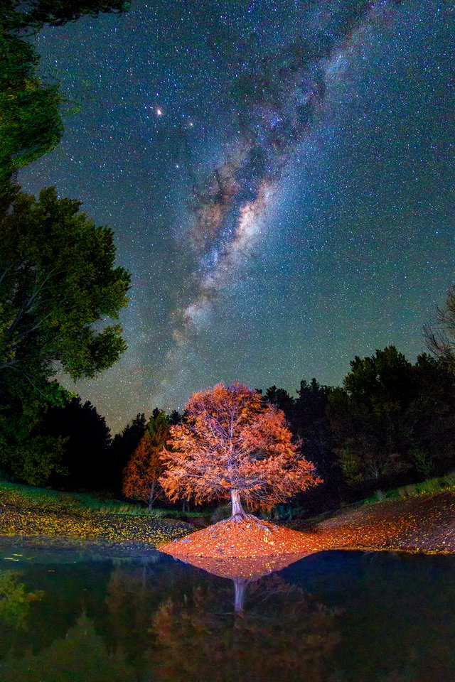 Autumn Skies