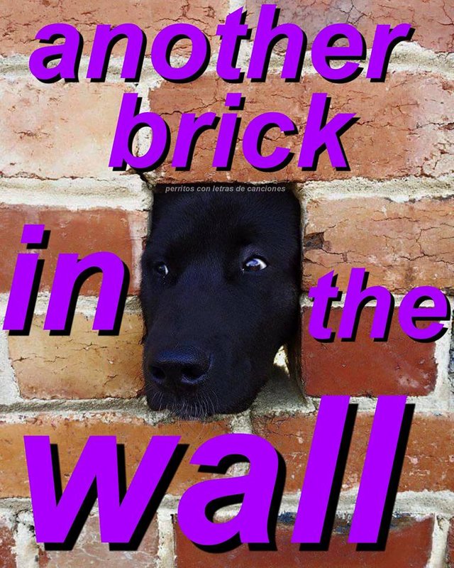 Another brick in the wall.jpg