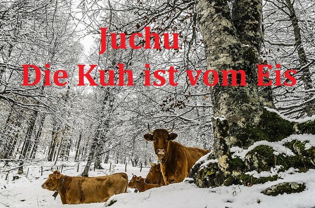 keine Vorschau