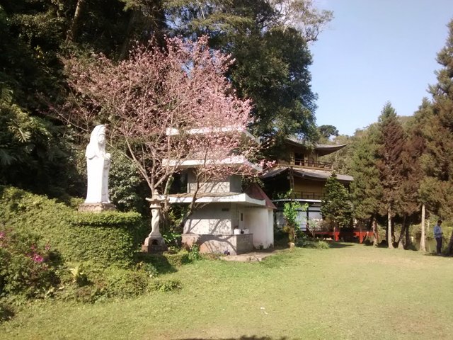 templokinkakujido 1.jpg