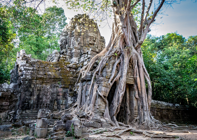 Photo by Phil Noris https://matadornetwork.com/read/siem-reap-temples/