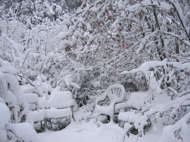 snowy sitting area.JPG
