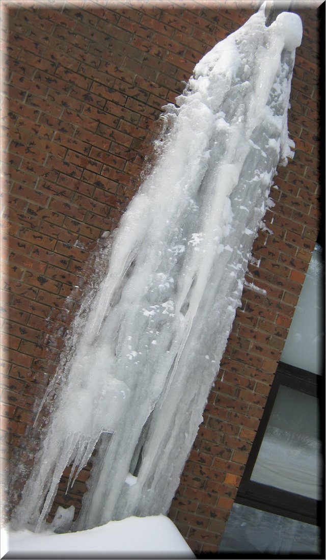 Large icicles grouped together coming from downspout at school.JPG