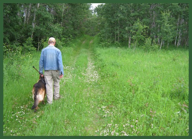 Don walking Bruno down clover covered trail.JPG