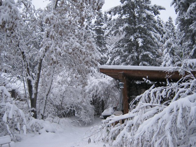 snowy scene by wood pile.JPG