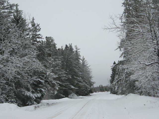view down the road after April snow.JPG