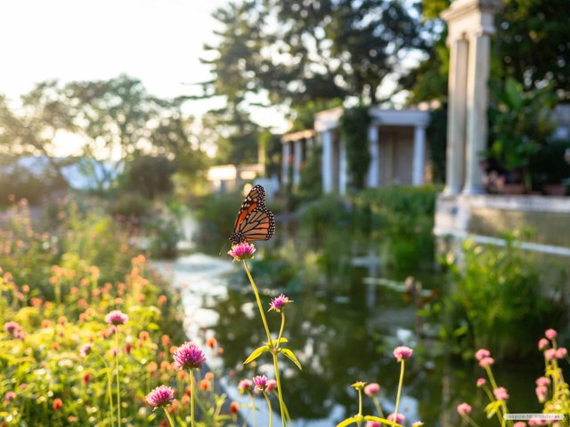 Untermyer Gardens 023.jpg