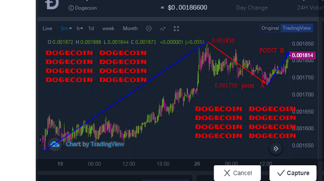 DOGECOIN.png
