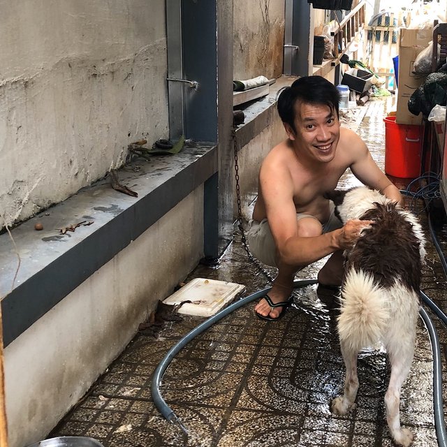 Washing the family dog
