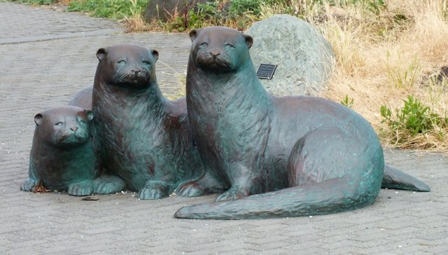 RD0187Otters.jpg