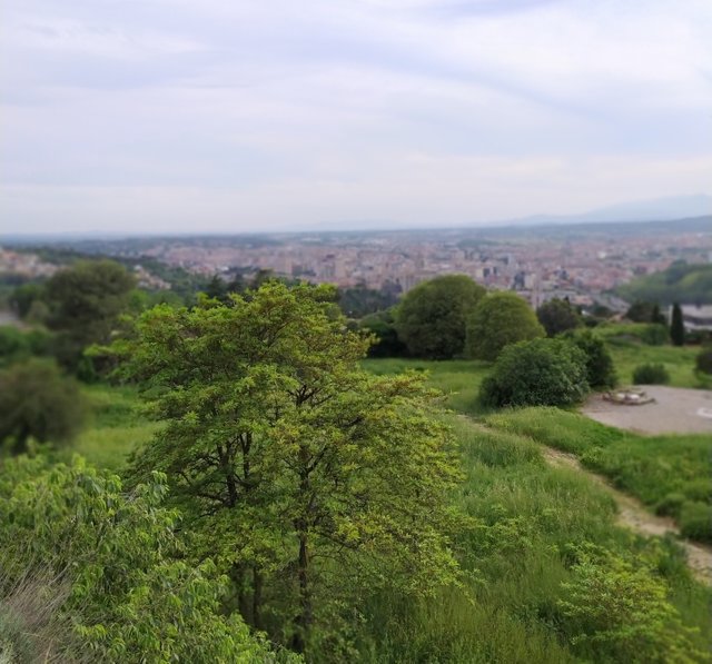 montjuic.jpg