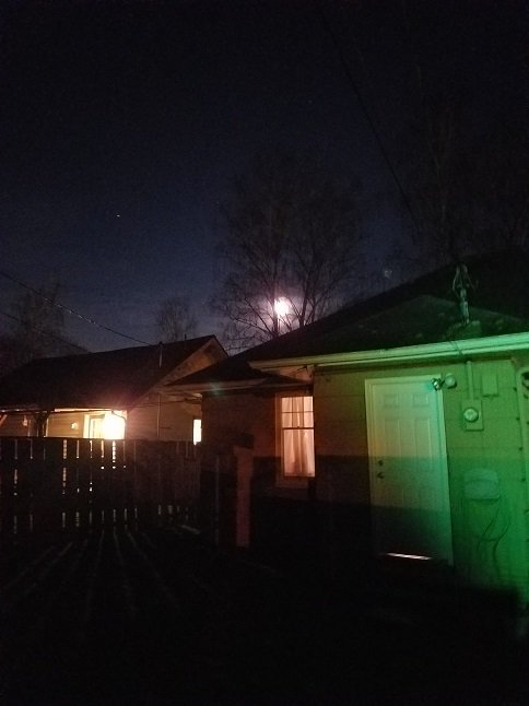 moon thru the trees from the backyard gate 10 feb. 2020 by rfy.jpg