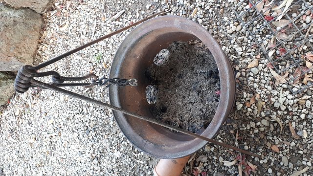 20190505_100650.jpg