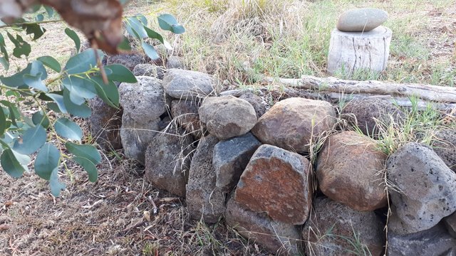 20190505_101706.jpg