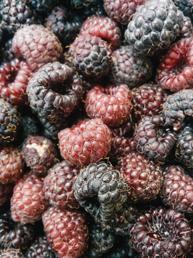 blackcapraspberries7.jpg