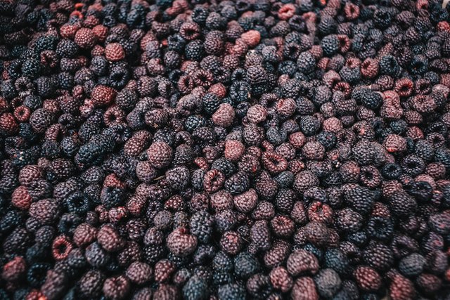 blackcapraspberries3.jpg