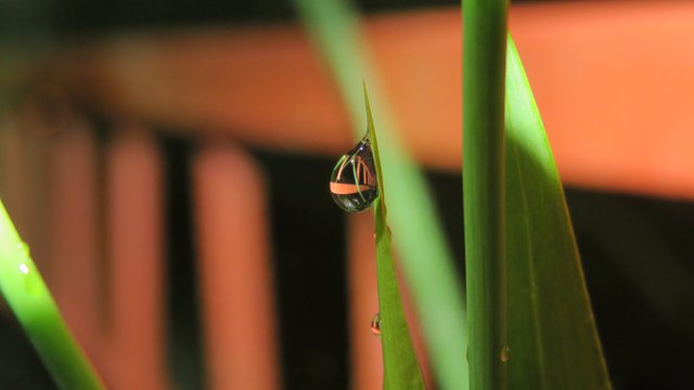 raindrop railings costa rica.jpg