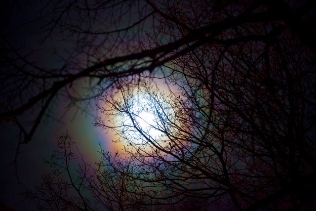 moonbow14.jpg
