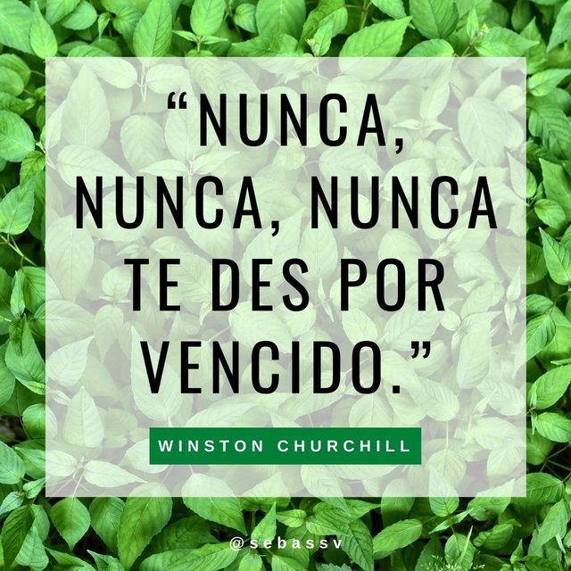 Winston Churchill 7.jpg