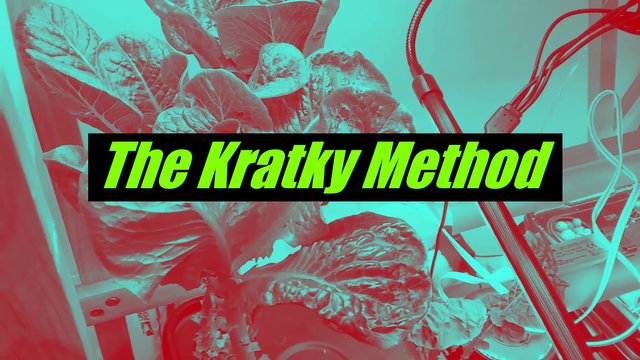 Kratky snapshot.jpg