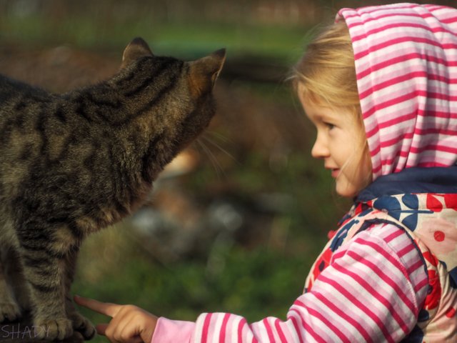 дівчинка та кіт_.jpg