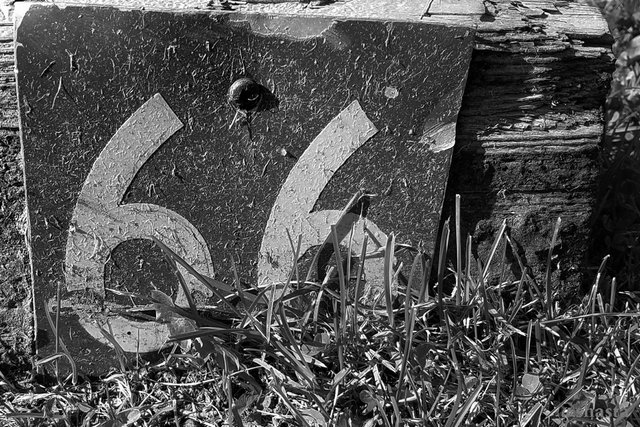 shasta2020march3rd47sixtysix66io.jpg