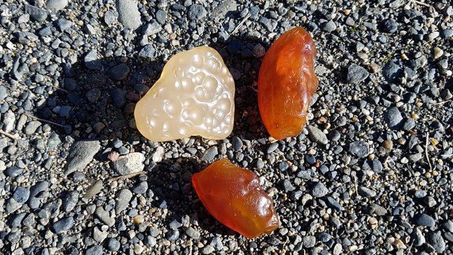 shasta2019july25th47agates8io.jpg