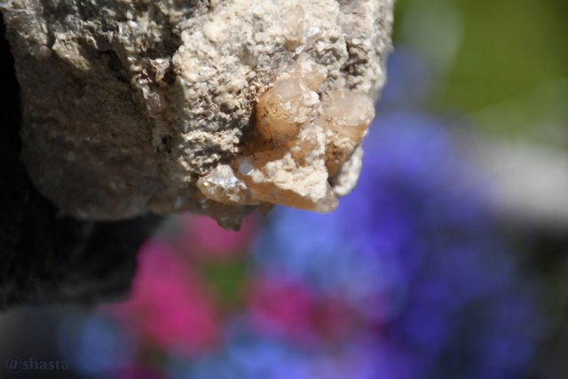 shasta2019aug2nd47crystals2io.jpg