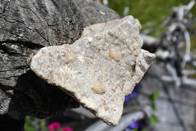shasta2019aug2nd47crystals9io.jpg