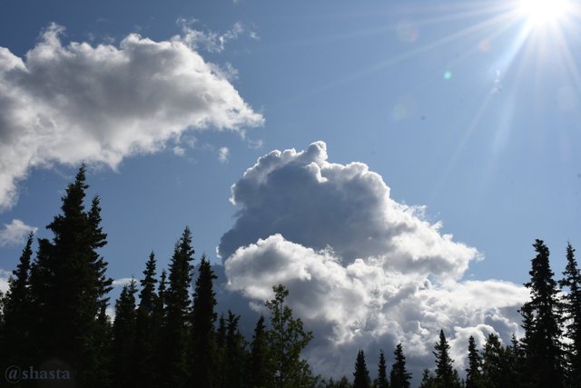 shasta2020march19th47clouds1io.jpg