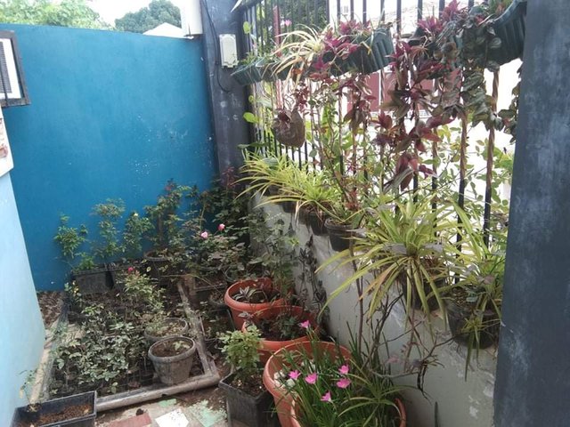 received_300977658015272.jpeg