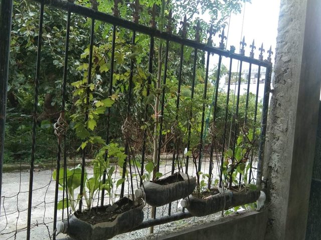 received_304385797497471.jpeg