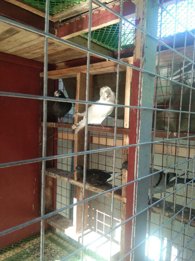 received_1363590227179085.jpeg