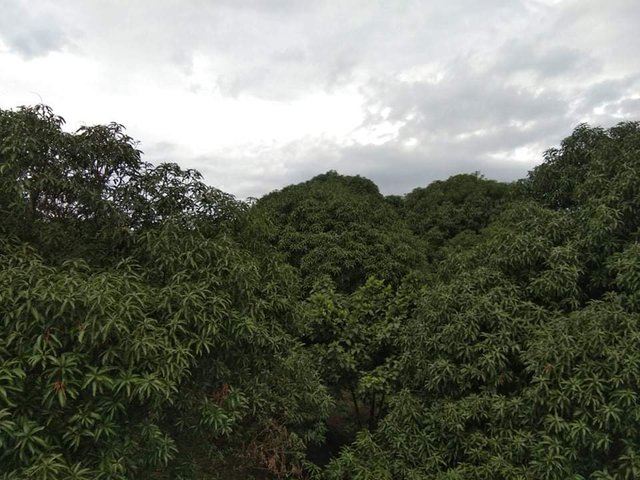 received_901826160226609.jpeg