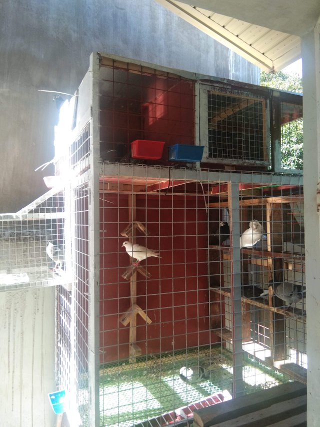 received_636814733914576.jpeg