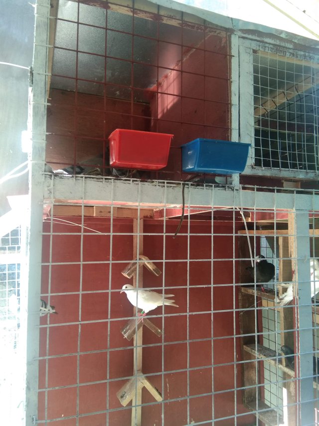 received_311813233360125.jpeg