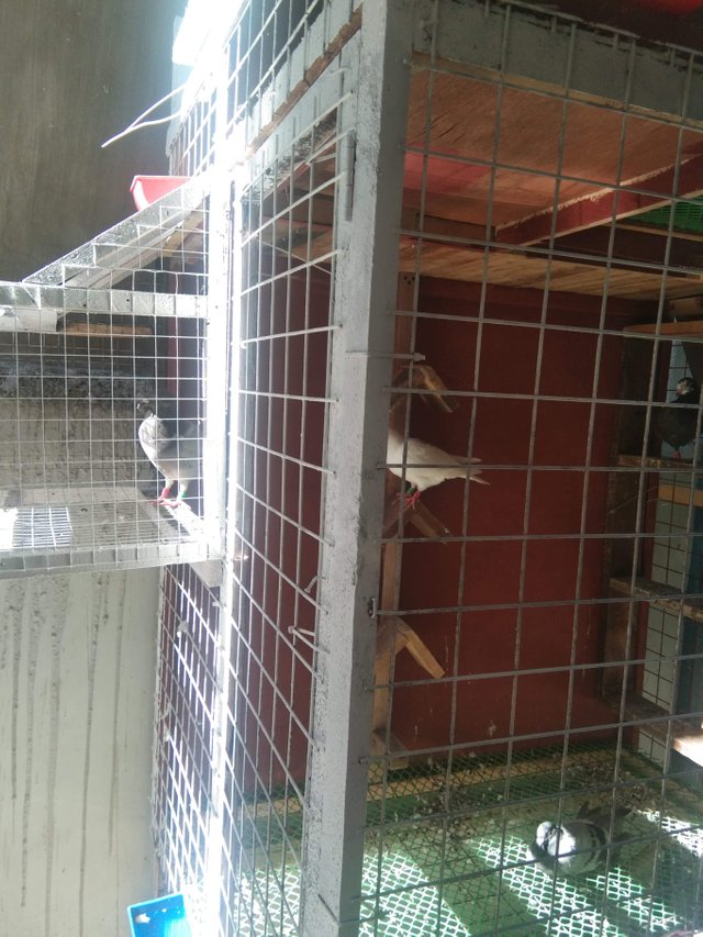 received_298282801407484.jpeg
