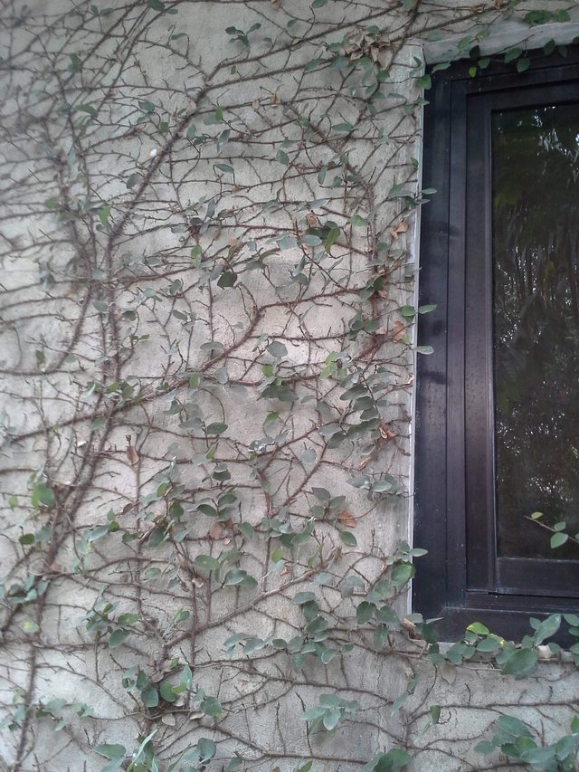 received_288077199304861.jpeg