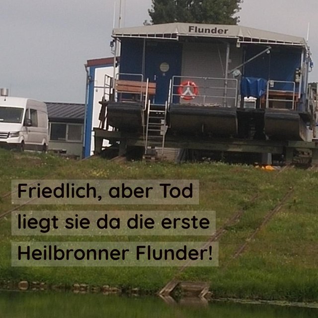 Buga Heilbronner Flunder.jpg