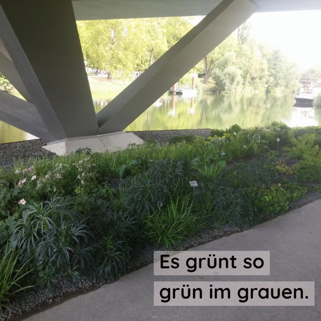 Buga Es grünt so grün im grauen.jpg