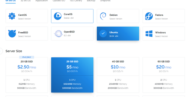 vultr size and os.PNG
